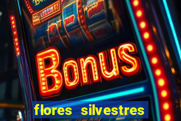 flores silvestres desbravadores desbravadores 25 flores silvestres e seus nomes